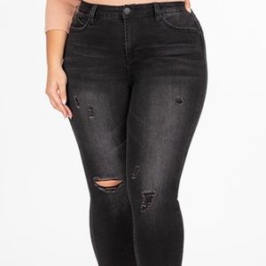 YMI Jeans-NEW!